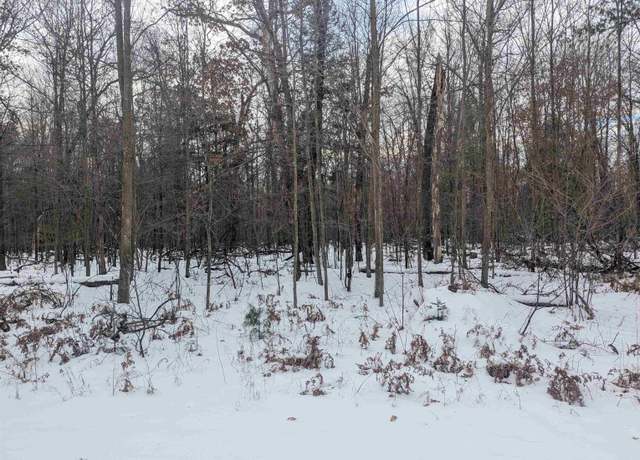 Property at N/A Georgia Edna Ln Lot : 33, Prescott, MI 48756