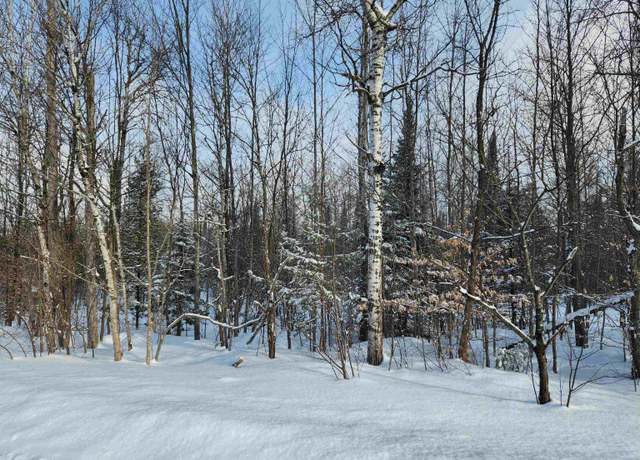 Property at TBD Valley Road, NW, Rapid City, MI 49676