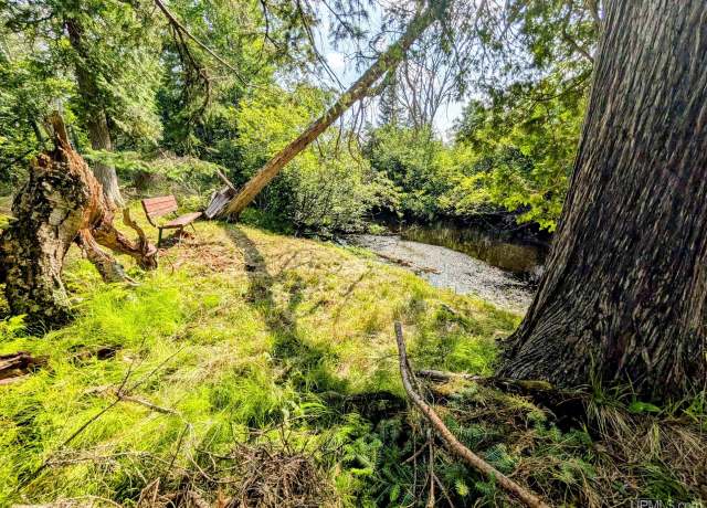 Property at 20 acres FH 16 Hwy, Iron River, MI 49935