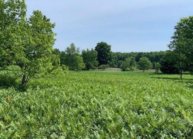 Property at 00 Vista Valley Trl, Mesick, MI 49668