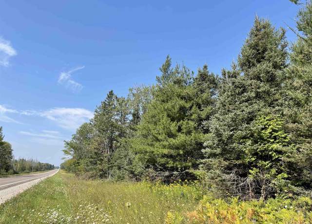 Property at 80 Acres Off M94, Skandia, MI 49885