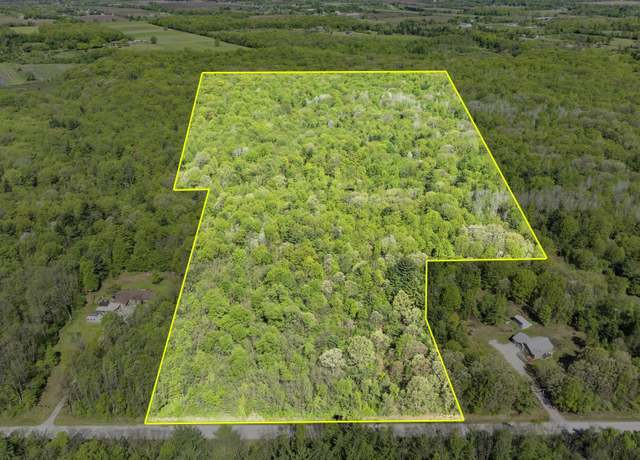 Property at Vacant Emerson Rd, Goodells, MI 48027