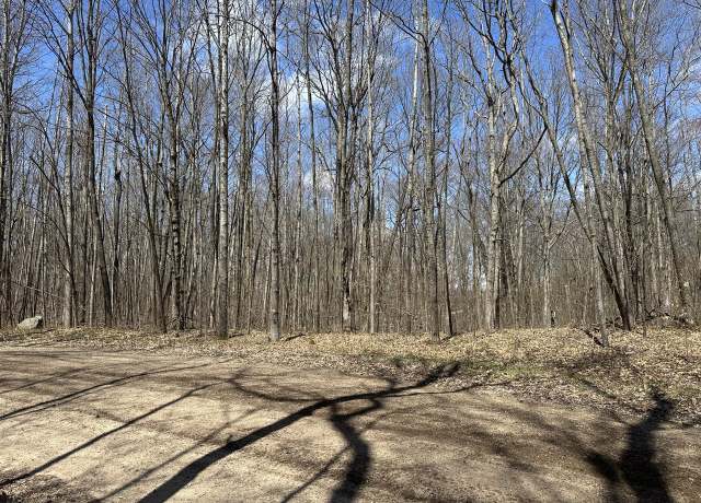 Property at Lot 24&41 Swiss Apline, Reed City, MI 49677