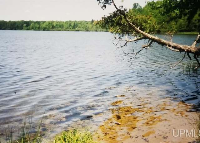 Property at TBD Wildwood Lake Dr Lot M & N, Bates, MI 49935