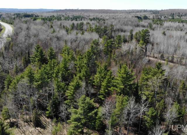 Property at TBD 1 Hwy M28 Hwy, Trout Creek, MI 49967