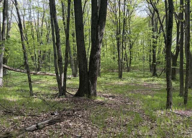 Property at Lots 383, 384 Dogwood Ln, Farwell, MI 48622