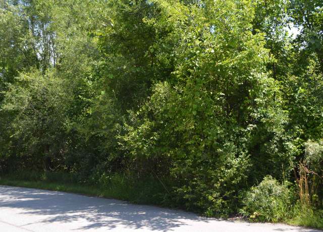 Property at TBD V/L E Maple Rd, Clare, MI 48617