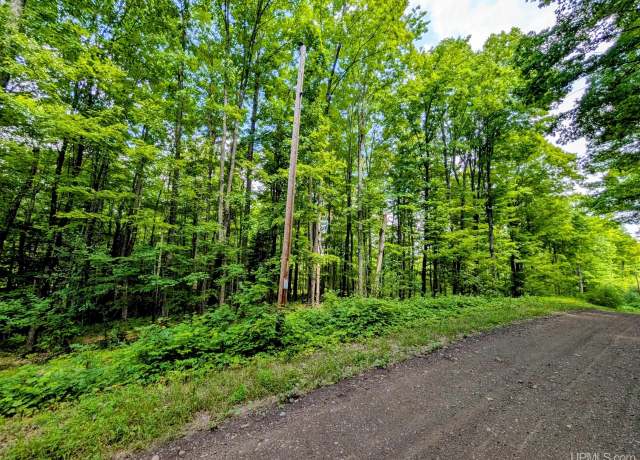 Property at 15 acres Fettig Rd, Iron River, MI 49935
