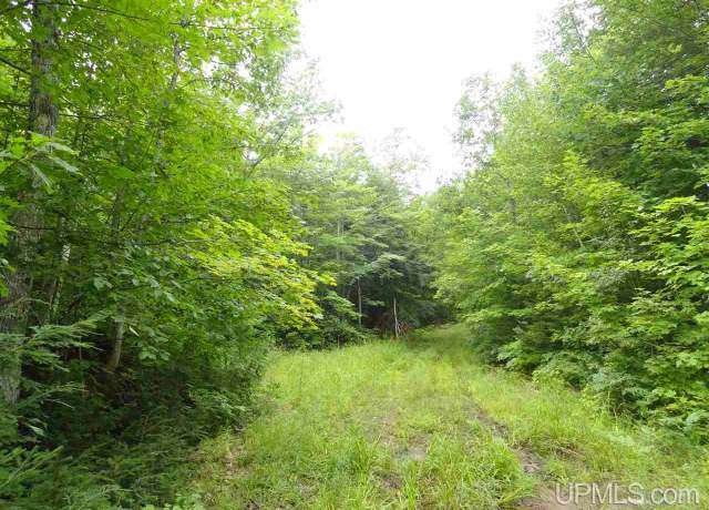 Property at 320 Acre Off Co Rd 510 Rd, Marquette, MI 49855