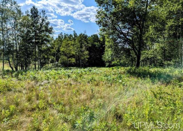 Property at 25 acres River Ave, Iron River, MI 49935