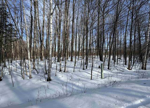 Property at Lot 64 Little Deer Rd, Iron River, MI 49935