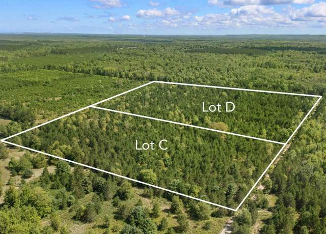 Property at 15 Acres Wallin Rd Unit D, Thompsonville, MI 49683