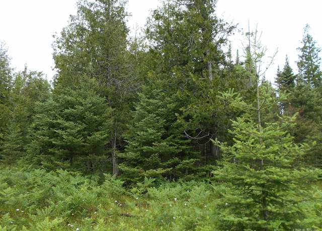Property at TBD US-2 Hwy, Gould City, MI 49838