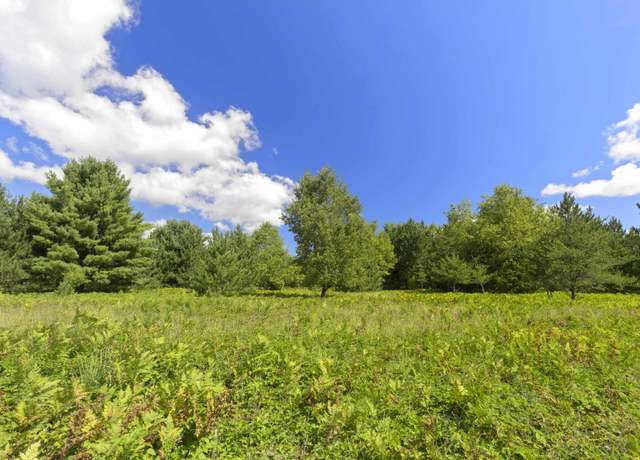 Property at 15 Acres Wallin Rd Unit C, Thompsonville, MI 49683