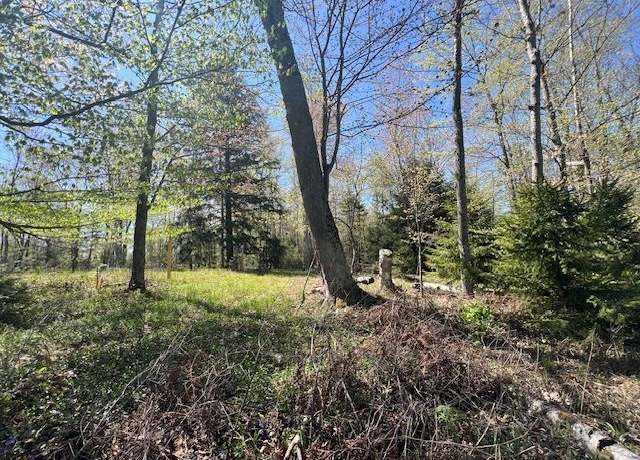 Property at 000 Flees Rd, Northport, MI 49670