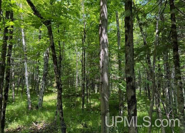 Property at TBD Tbd 1st Crossing Rd, WI 54121