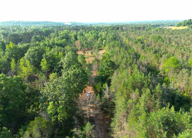 Property at 000 E 12 Rd, Manton, MI 49663