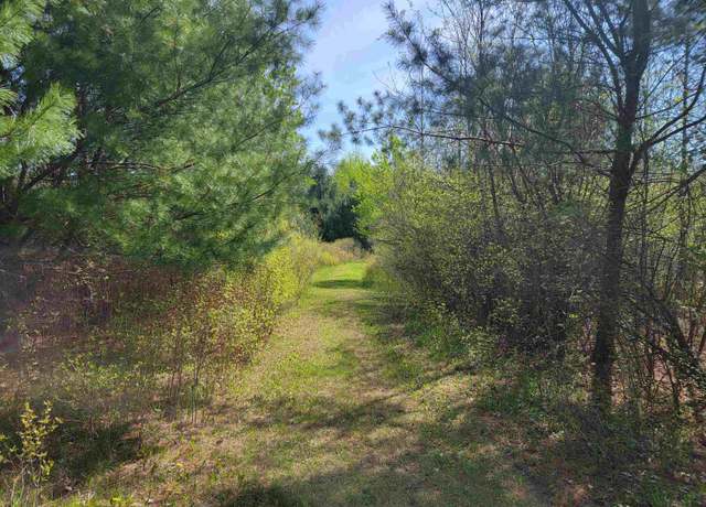 Property at Three Rivers Rd, Gladwin, MI 48624
