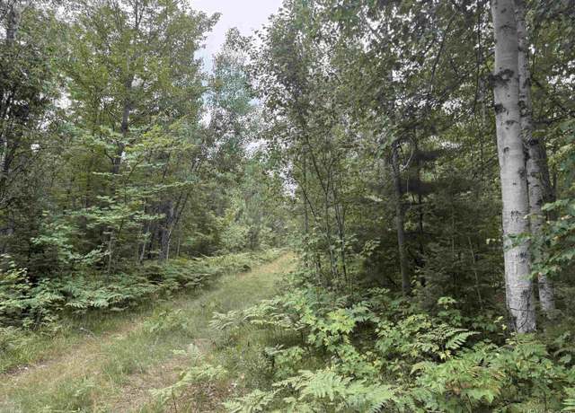 Property at 10 ac Paint River Rd, Crystal Falls, MI 49920
