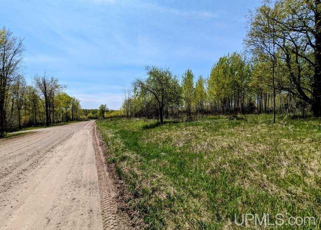Property at Lot 15 Willow St Lot 15, Gaastra, MI 49927