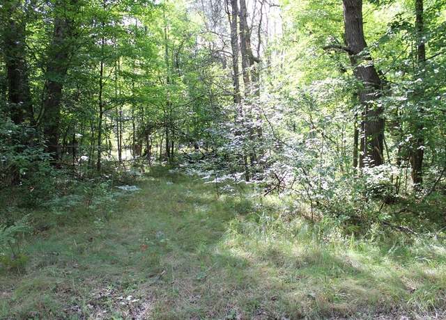 Property at Undisclosed address, Farwell, MI 48622