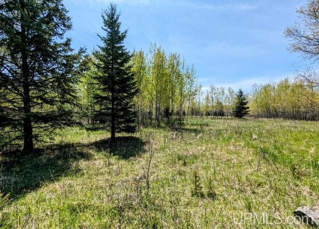 Property at Lot 17 Willow St Lot 17, Gaastra, MI 49927