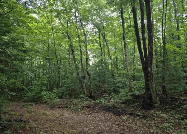 Property at 10 Acres Fisher Trl, Newberry, MI 49868