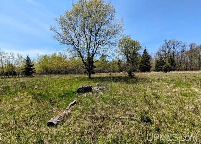 Property at Lot 19 Willow St Lot 19, Gaastra, MI 49927