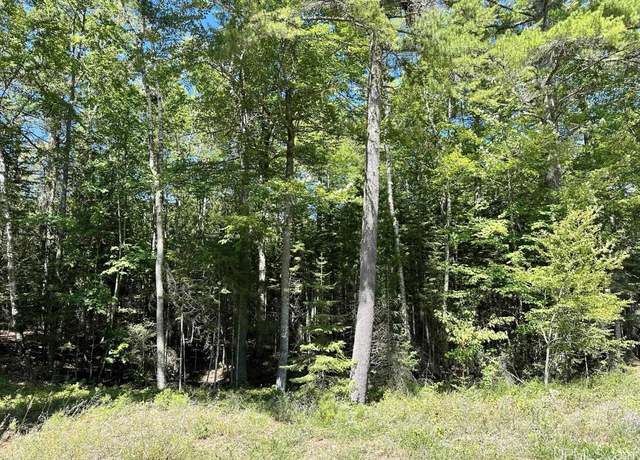 Property at TBD Hemlock Views Trl Lot 21, Manistique, MI 49854