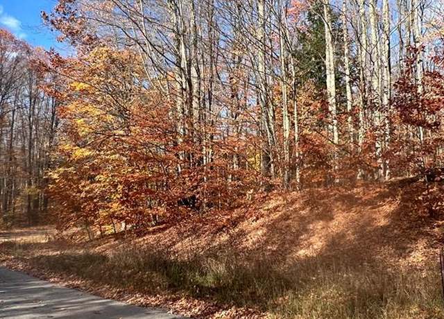 Property at Lot 12 Staceywood Cir, Mancelona, MI 49659