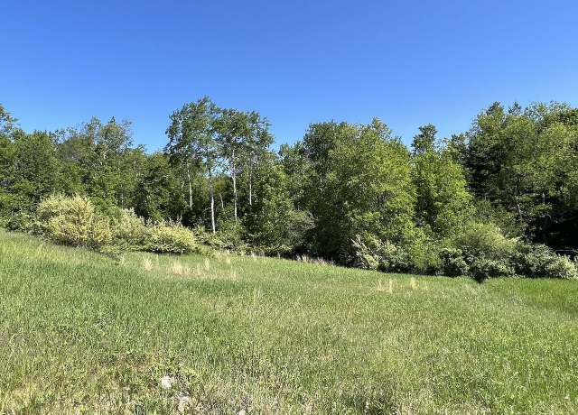 Property at Unit 4 Alden Meadows Dr Lot : 4, Alden, MI 49612