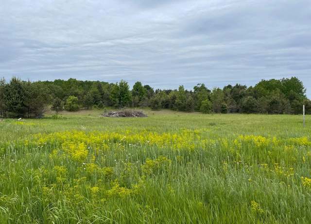 Property at 490 SE Mitchell Rd, Kalkaska, MI 49646