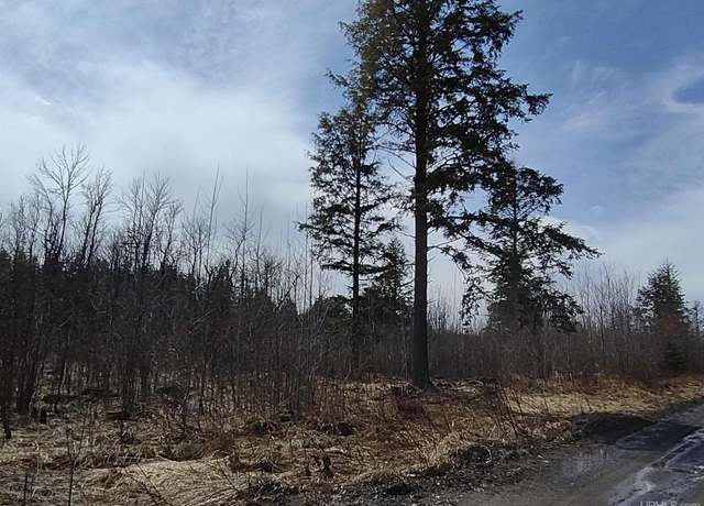 Property at TBD Nelson Rd, L'anse, MI 49946