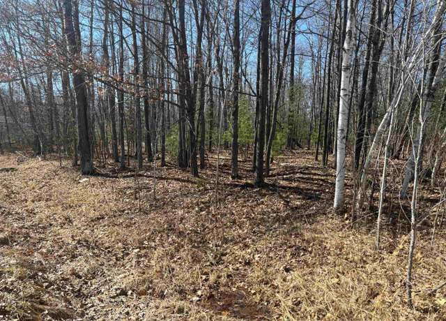 Property at Pineway Dr, Gladwin, MI 48624