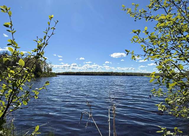 Property at Off Langford Lake Rd, Watersmeet, MI 49969