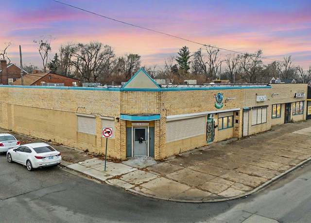 Property at 13703 W MCNICHOLS Rd, Detroit, MI 48235 4153