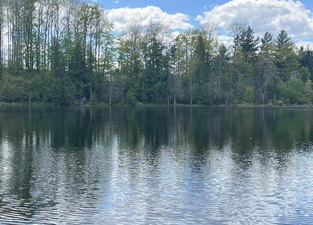 Property at V/L 8046 Wallace Dr, Lake, MI 48632