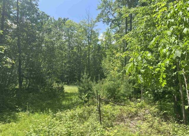 Property at TBD Tbd 40 Acres Wilderness Trl, Crystal Falls, MI 49920