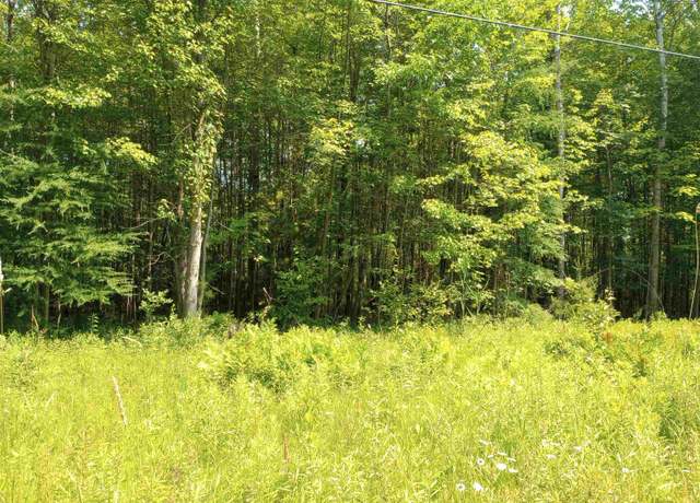 Property at Lot #4 Happy Rd, Beaverton, MI 48612