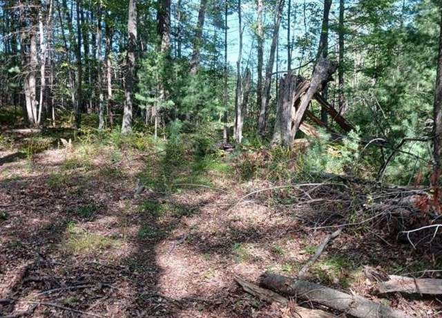 Property at 5614 WHALEN Lk, Baldwin, MI 49304
