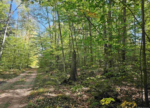 Property at TBD Tbd 2nd St, Manistique, MI 49854