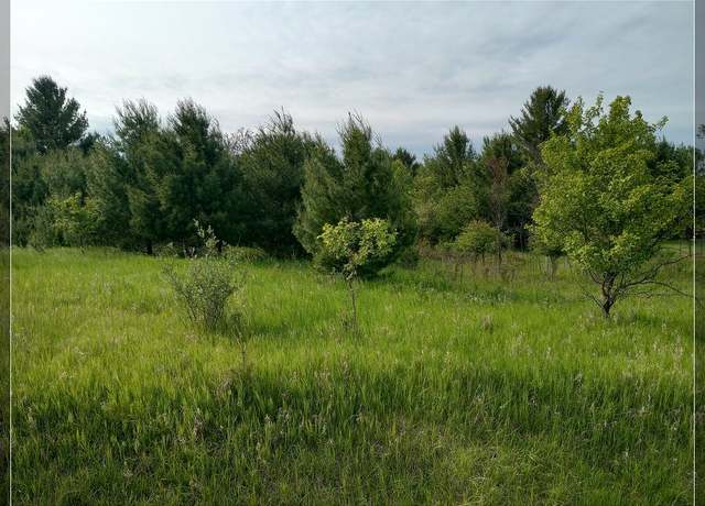 Property at Lot 25 Winchester Way, Butman, MI 48624