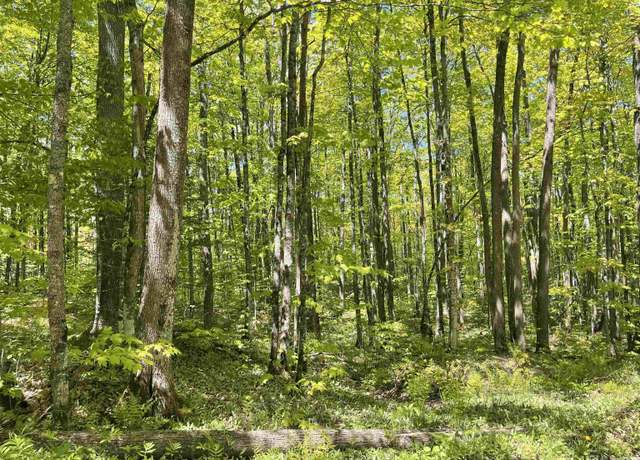 Property at TBD Korpela Rd, Wakefield, MI 49968