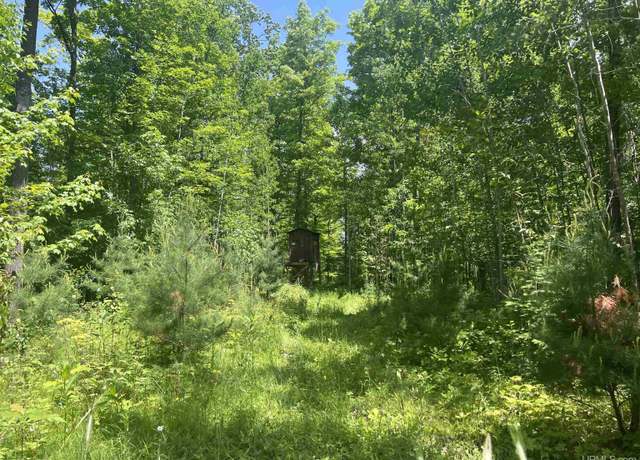 Property at TBD Tbd 40 Acres Wilderness Trl, Crystal Falls, MI 49920