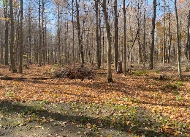 Property at 868 W 4 Rd Lot : A, Buckley, MI 49620