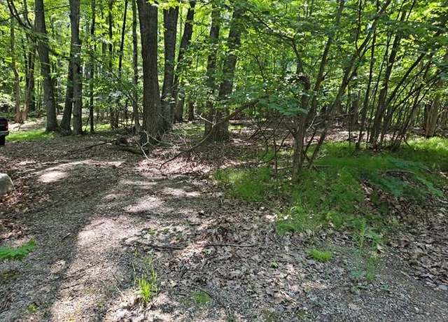 Property at 2145 Elkhorn Way Rd, Farwell, MI 48622