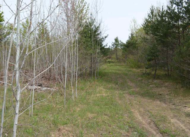 Property at Spencer Rd Lot : 18&19, Kalkaska, MI 49646