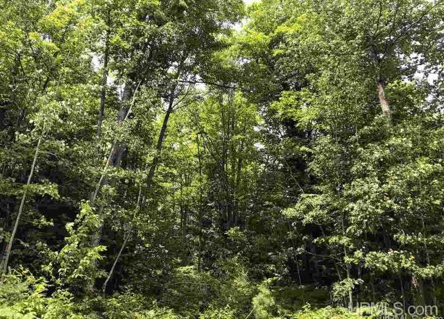 Property at Lot H Maple Wood Ln, Gwinn, MI 49841-0000