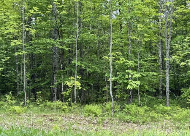 Property at TBD Dog Patch Rd, L'anse, MI 49946