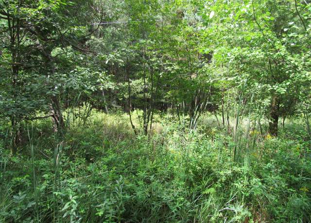 Property at 00 Duby Rd Unit Parcel C-2, Tawas City, MI 48763